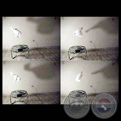 INTERART, 2001 - Obra de CLAUDIA CASARINO